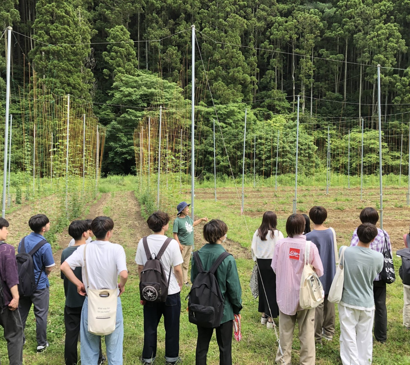 人材育成・企業支援の画像